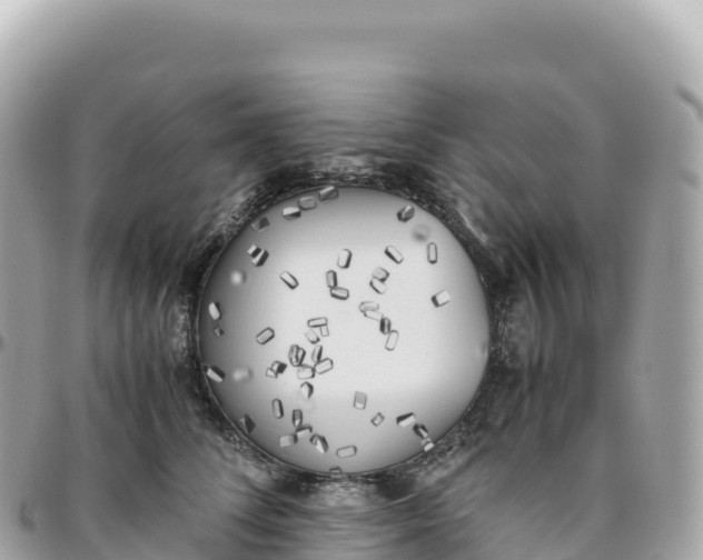 X0000095890708200801251202