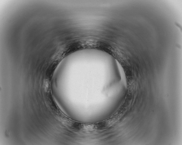 X0000095890709200801251202