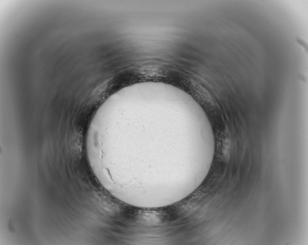 X0000095890710200801251202