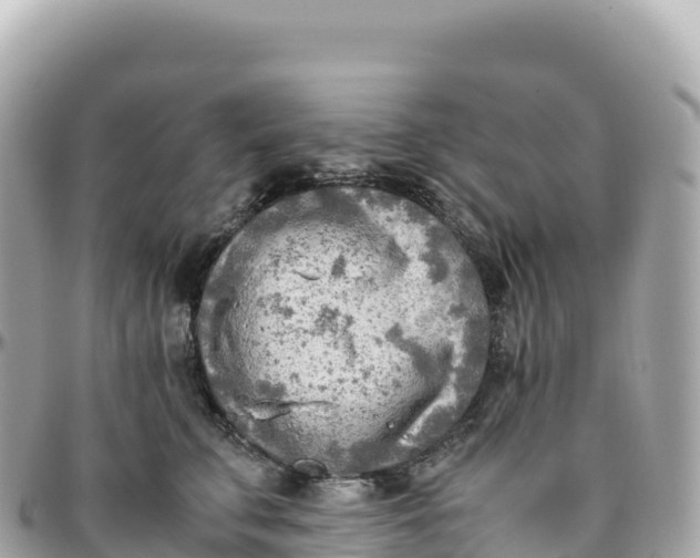 X0000095890711200801251202