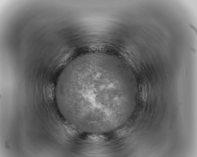 X0000095890712200801251202