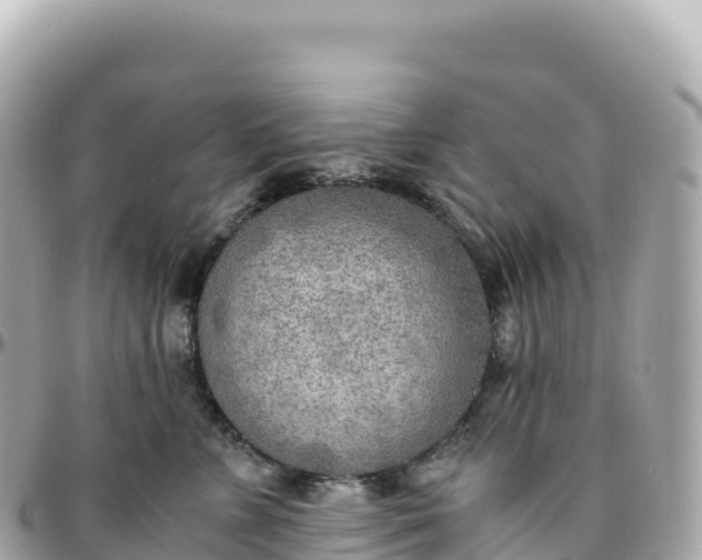 X0000095890715200801251202