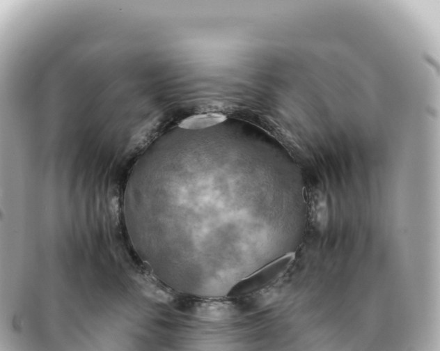 X0000095890716200801251202