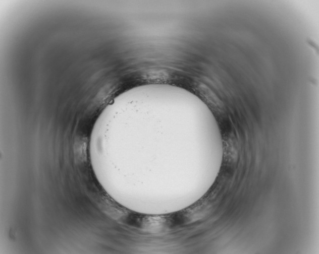 X0000095890717200801251202