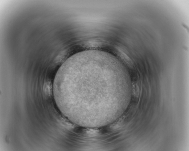 X0000095890718200801251202