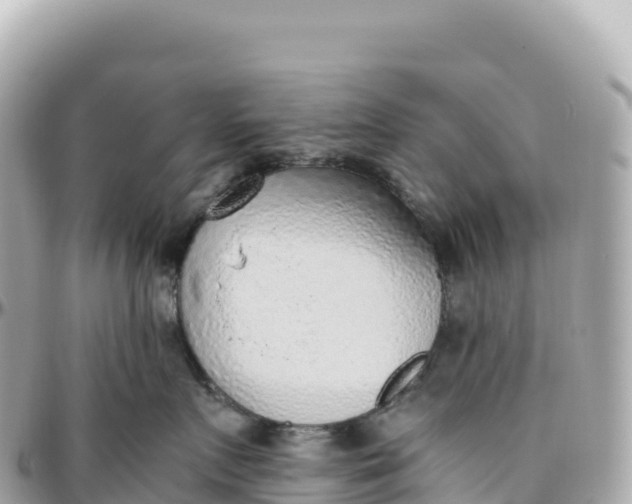 X0000095890719200801251202