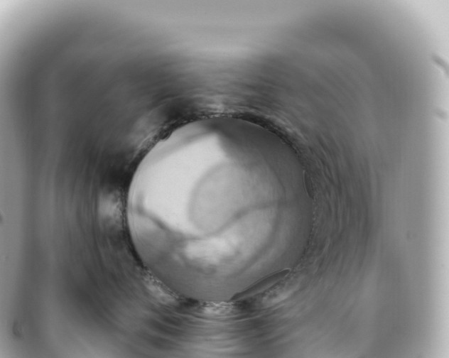 X0000095890720200801251202