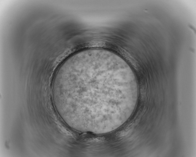 X0000095890721200801251201