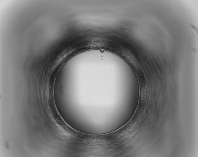 X0000095890722200801251201