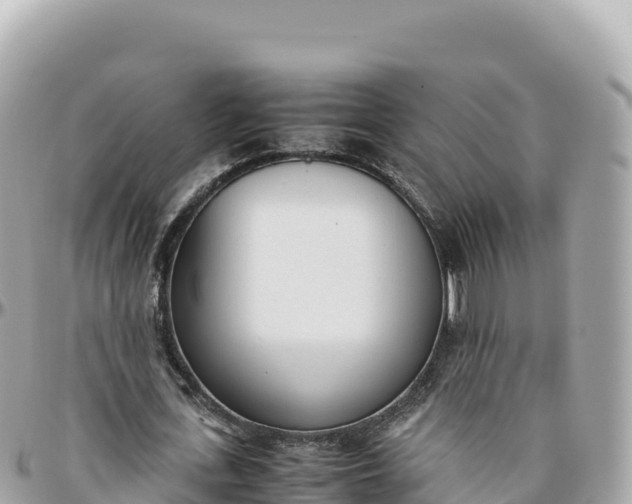 X0000095890723200801251201