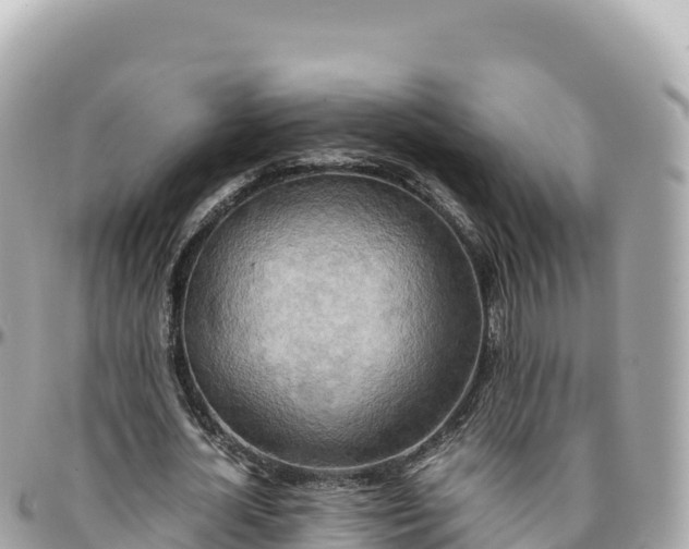 X0000095890724200801251201