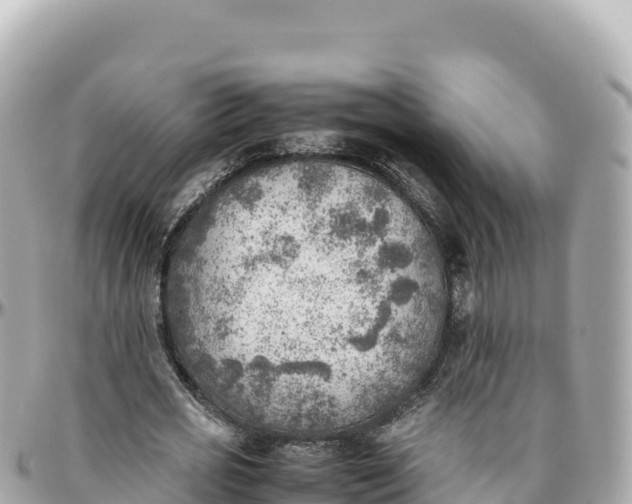 X0000095890725200801251201