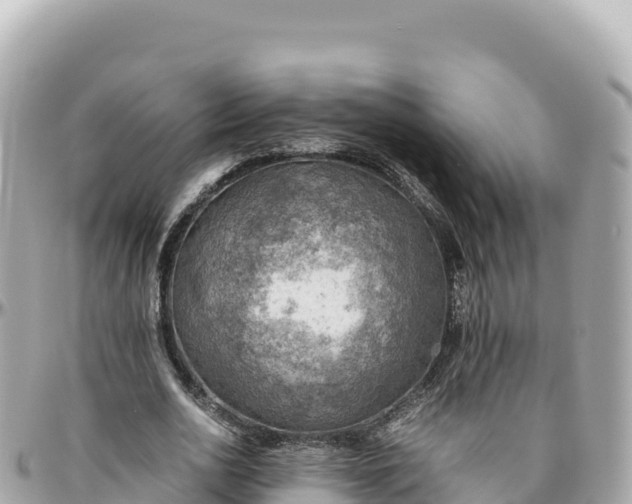 X0000095890726200801251201