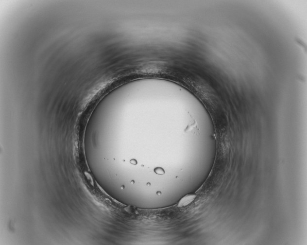 X0000095890728200801251202