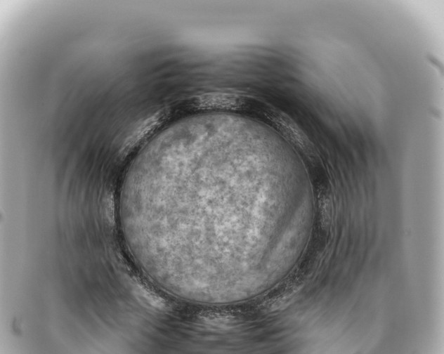 X0000095890729200801251202