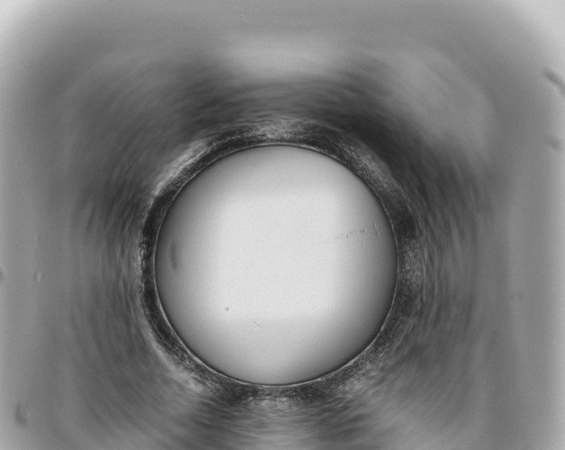 X0000095890730200801251202