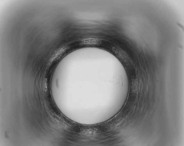 X0000095890731200801251202