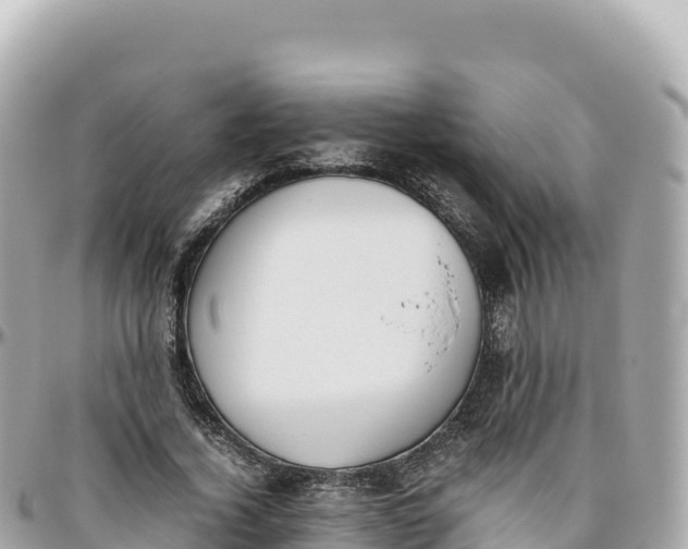 X0000095890732200801251202