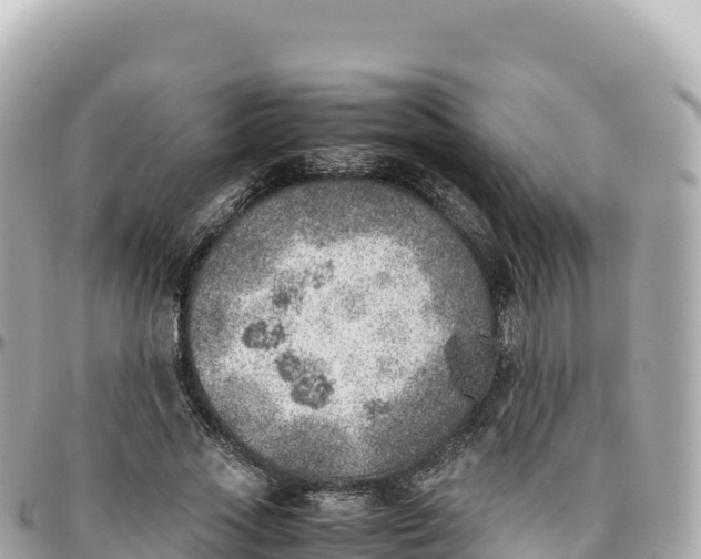 X0000095890733200801251202