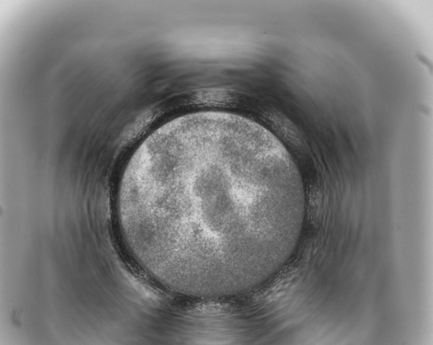 X0000095890734200801251202