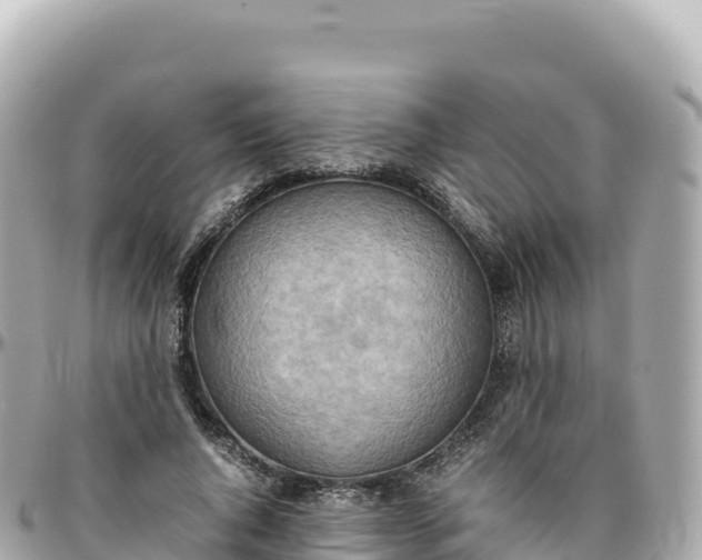 X0000095890736200801251202