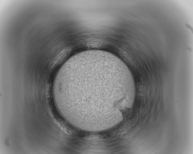 X0000095890738200801251202