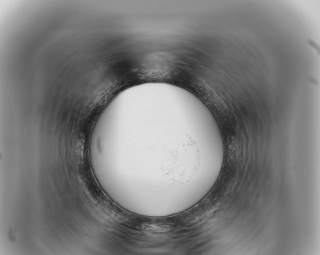 X0000095890739200801251202