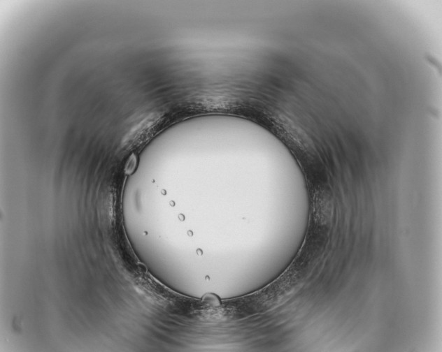 X0000095890740200801251202