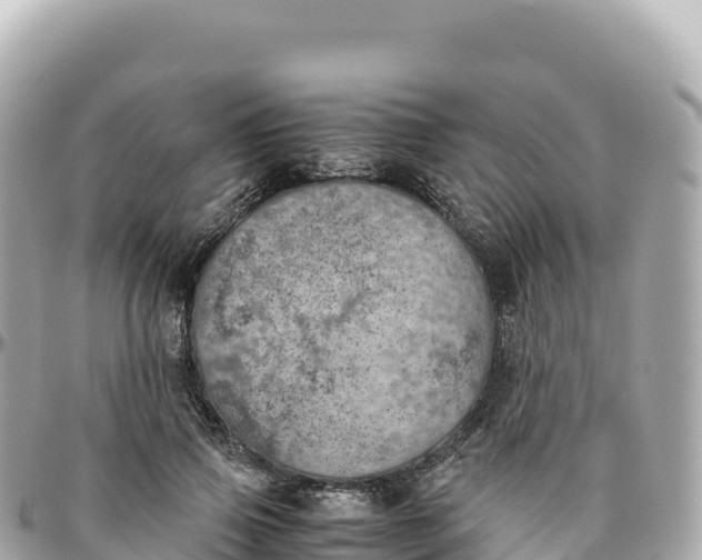 X0000095890741200801251202