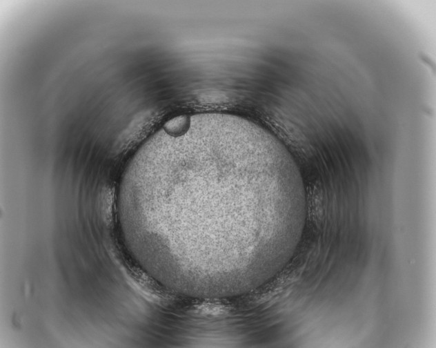 X0000095890742200801251202