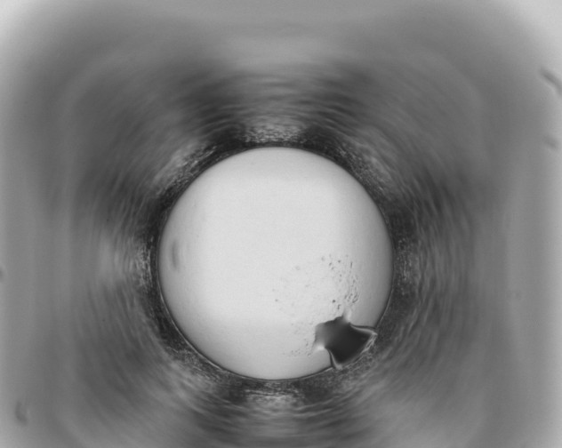 X0000095890743200801251202