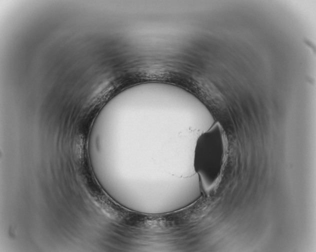 X0000095890744200801251202