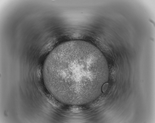 X0000095890746200801251202