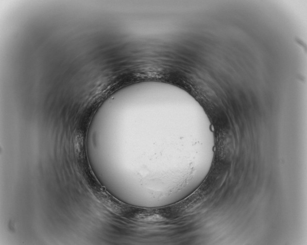 X0000095890747200801251202