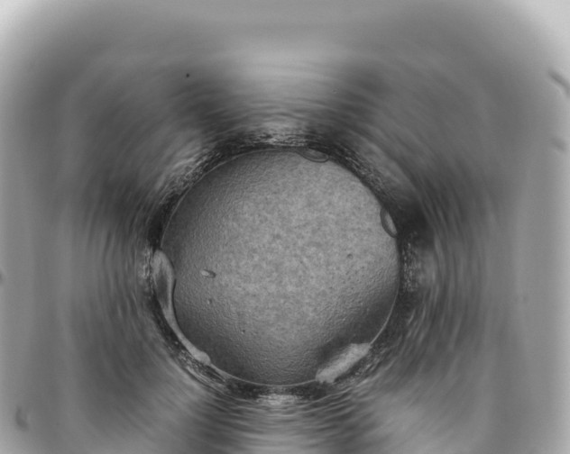 X0000095890748200801251202