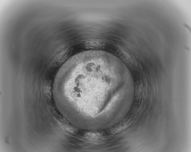 X0000095890749200801251202