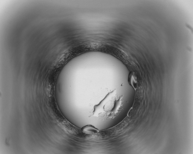 X0000095890750200801251202