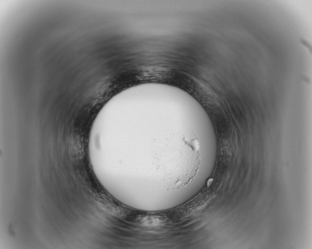 X0000095890751200801251202