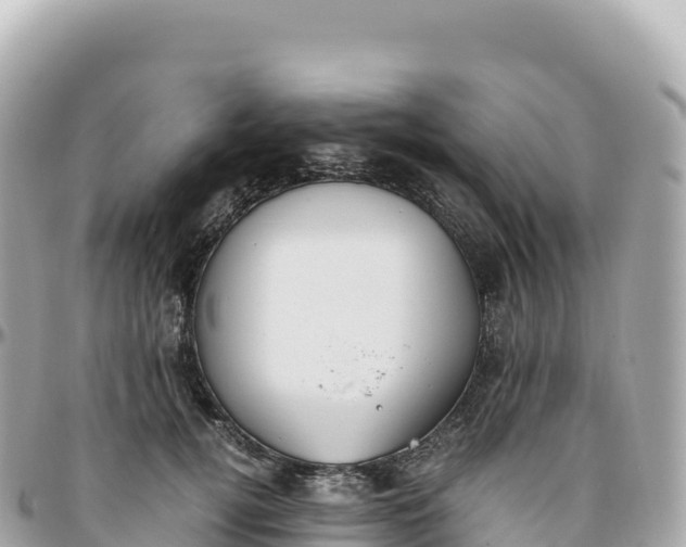 X0000095890752200801251202