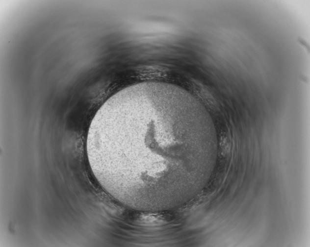 X0000095890753200801251202