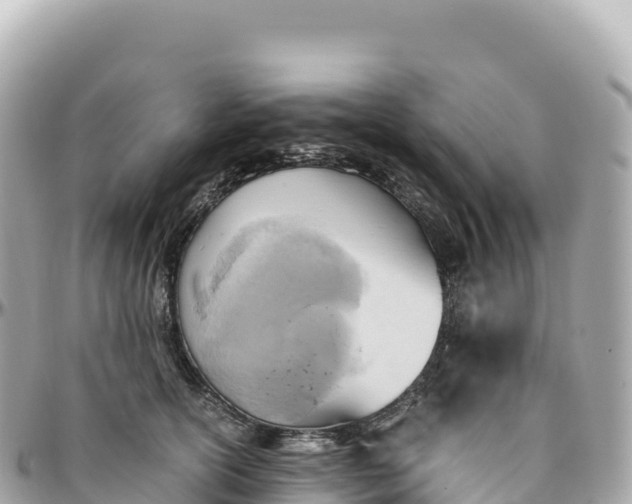 X0000095890754200801251202