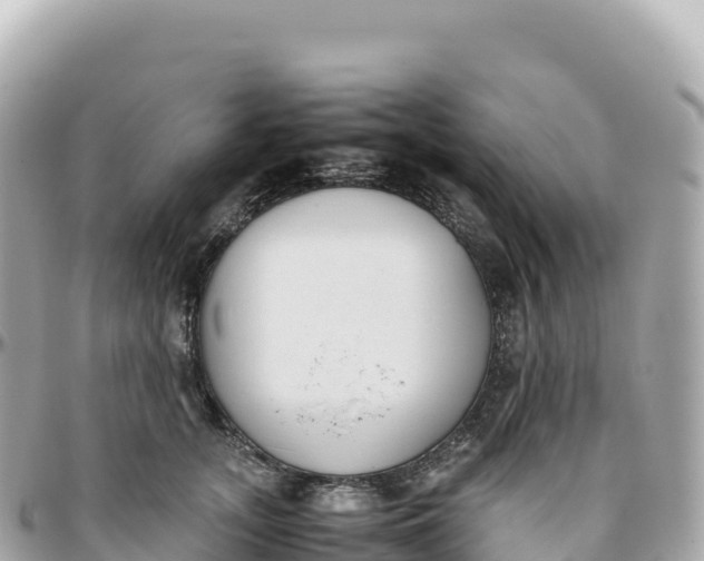 X0000095890755200801251202