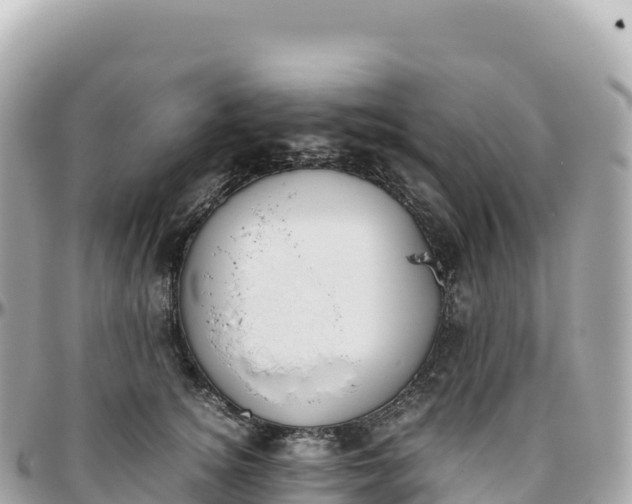 X0000095890756200801251202