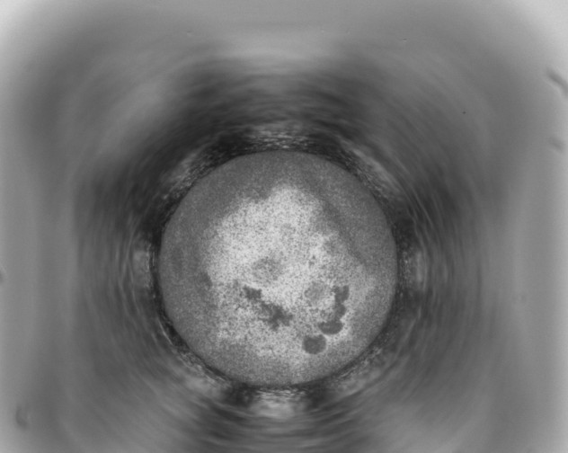 X0000095890757200801251202