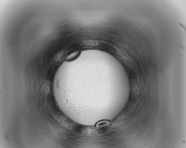 X0000095890758200801251202