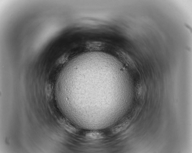 X0000095890759200801251202