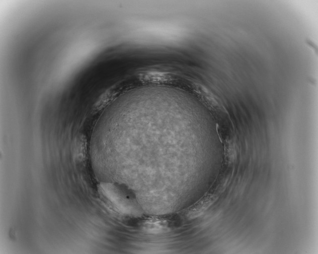 X0000095890760200801251202