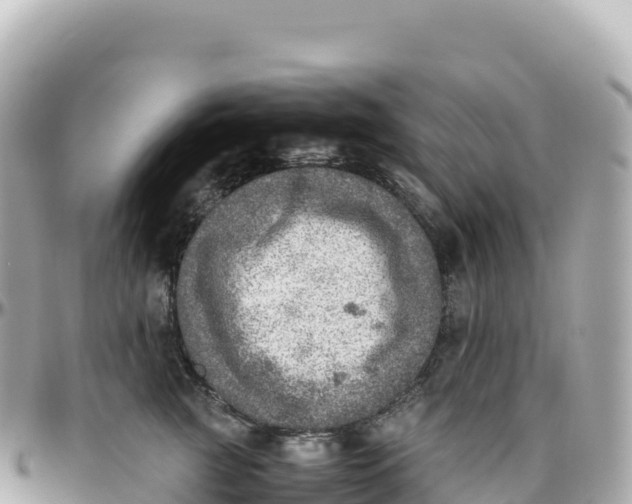 X0000095890761200801251202