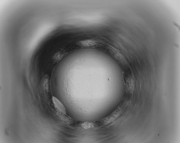 X0000095890762200801251202