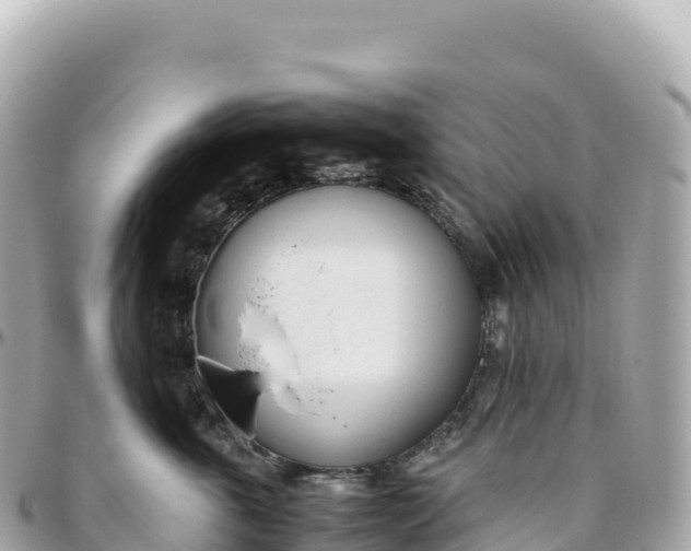 X0000095890763200801251202